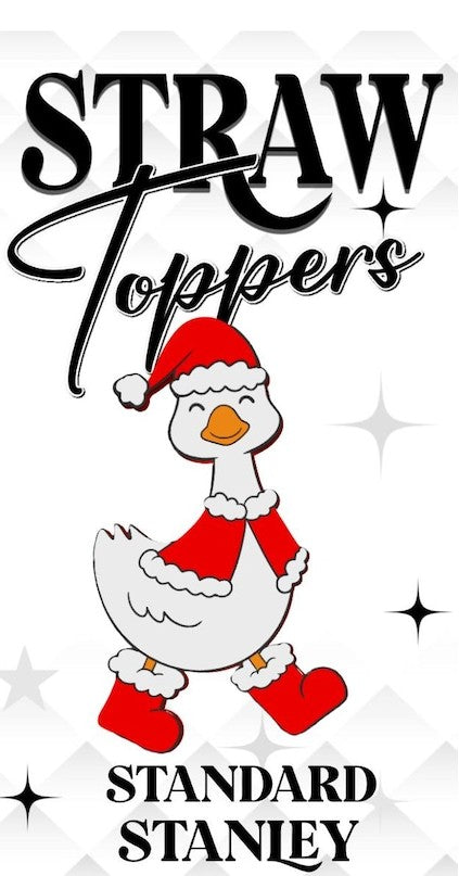Silly Goose Straw Topper